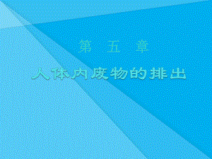 人体内废物的排出ppt15-人教版优秀课件.ppt