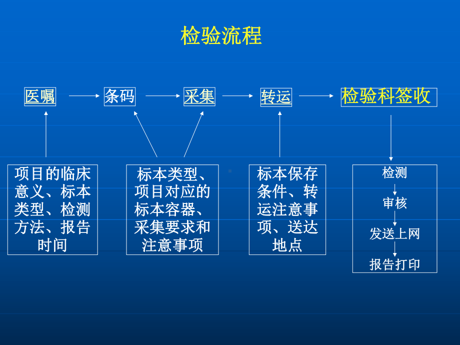 临床常用检验项目介绍及验单书写规范--PPT课件.ppt_第3页