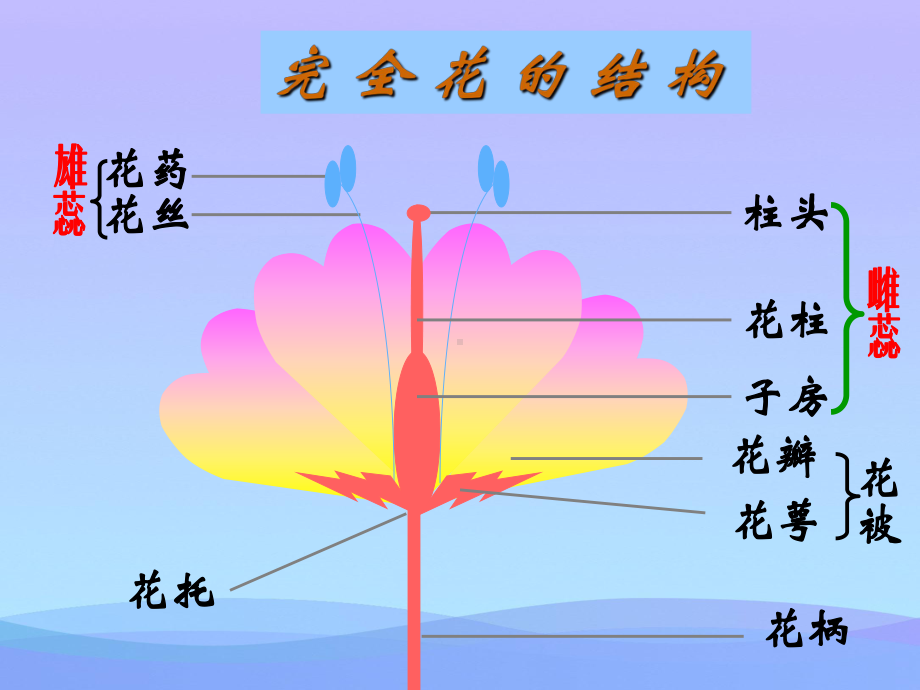 《植物的生殖方式》PPT课件.pptx_第3页