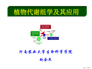 植物代谢组学课件(PPT 42页).pptx