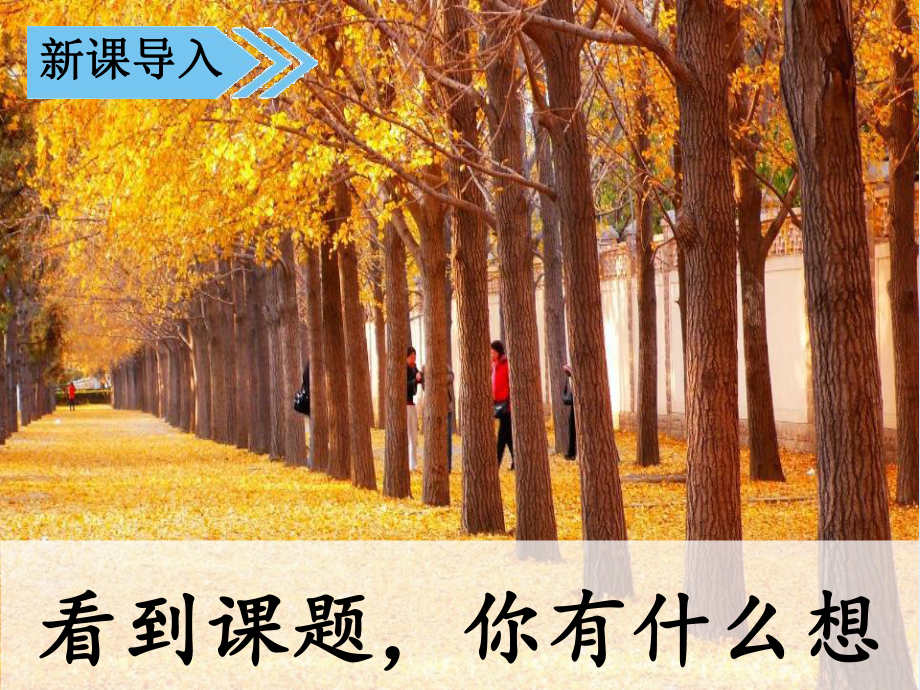 《铺满金色巴掌的水泥道》PPT（优质课件）.pptx_第3页