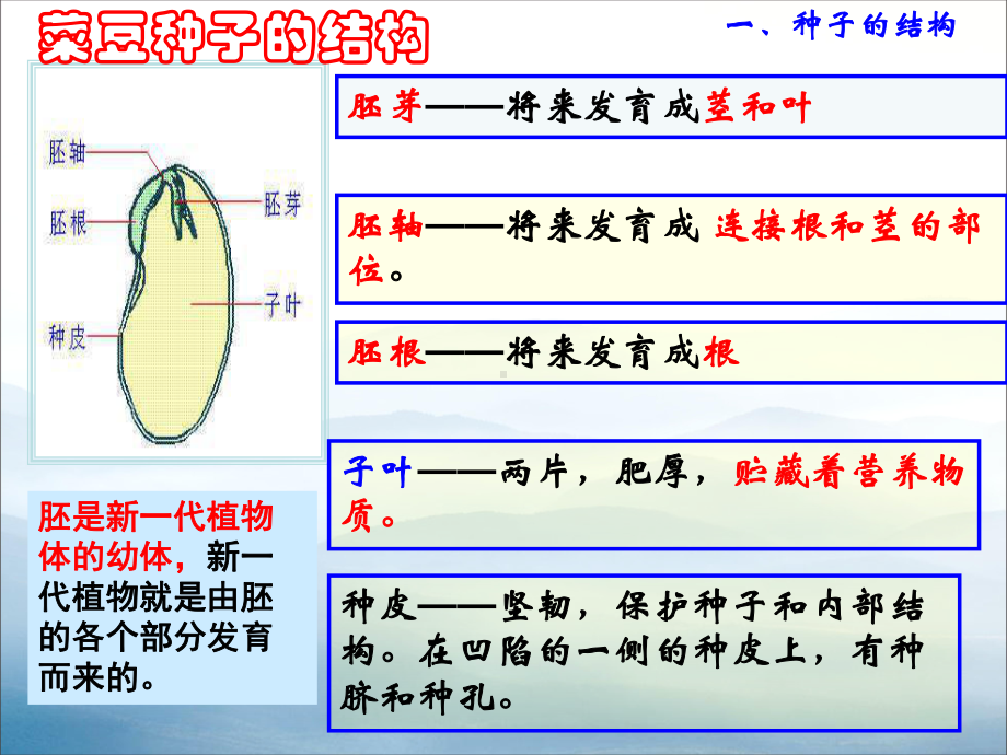 《植物的一生》PPT课件-.pptx_第2页