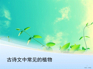 古诗文中常见的植物(课堂PPT)课件(PPT 19页).pptx