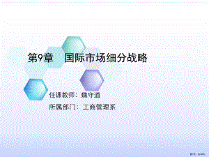 国际市场细分战略课件(PPT 49页).pptx