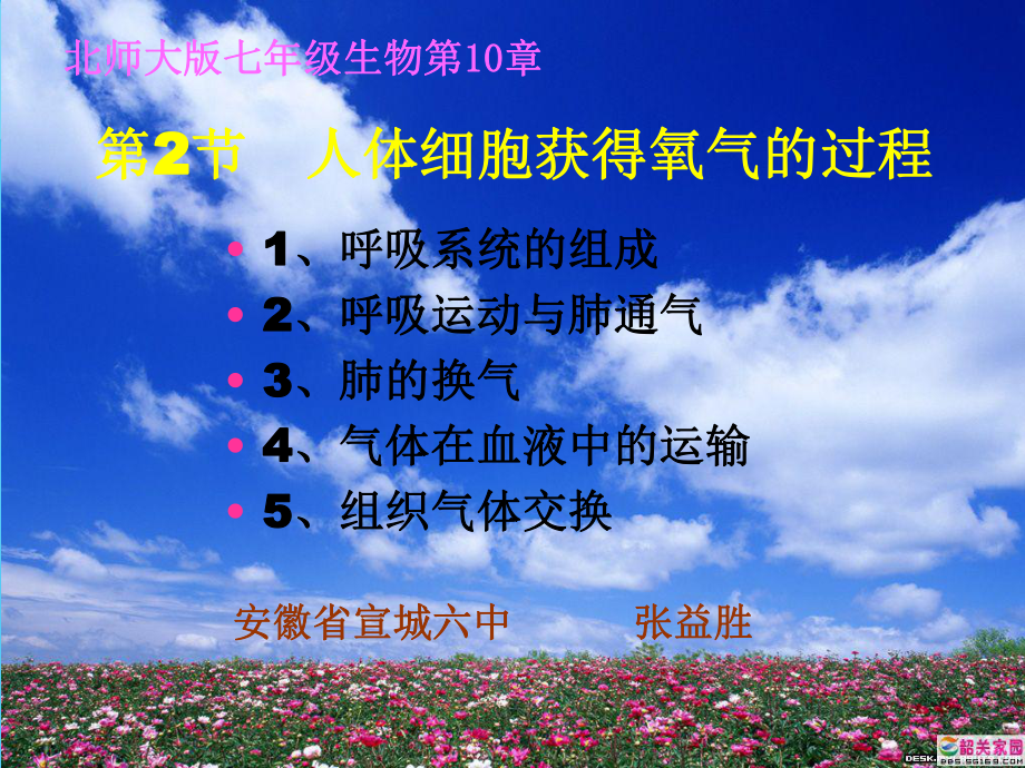 人体细胞获得氧气的过程ppt-北师大版优秀课件.ppt_第1页