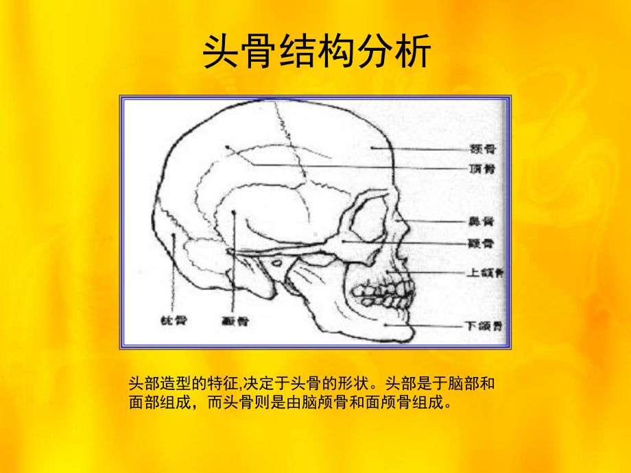 《石膏头像素描》PPT课件.ppt_第2页