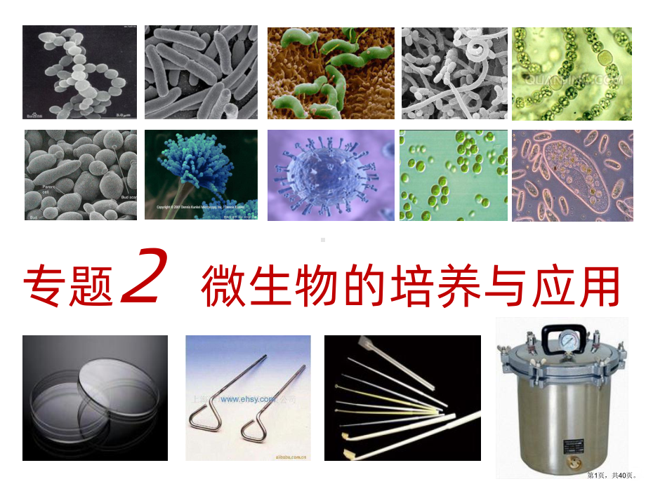 微生物的实验室培养公开PPT课件(PPT 40页).ppt_第1页