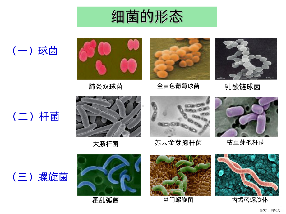 微生物的实验室培养公开PPT课件(PPT 40页).ppt_第3页