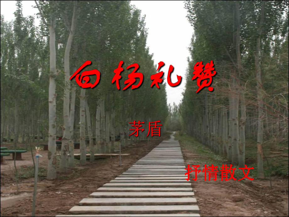 《白杨礼赞》ppt课件39全面版.ppt_第2页