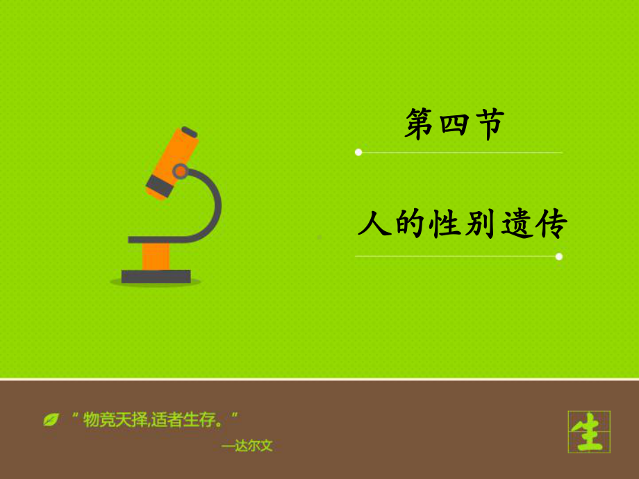 人的性别遗传-(PPT课件).ppt_第1页