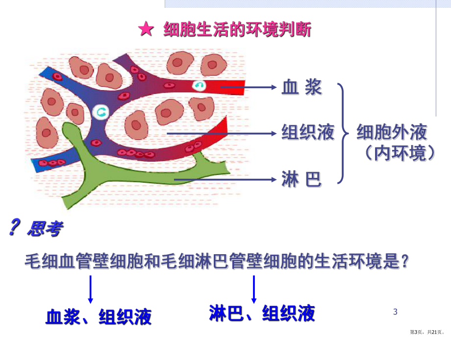 人体的内环境与稳态PPT演示课件(PPT 21页).pptx_第3页