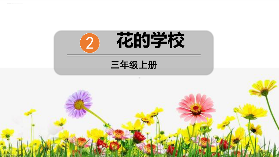 《花的学校》PPT优质课件(完美版).pptx_第1页