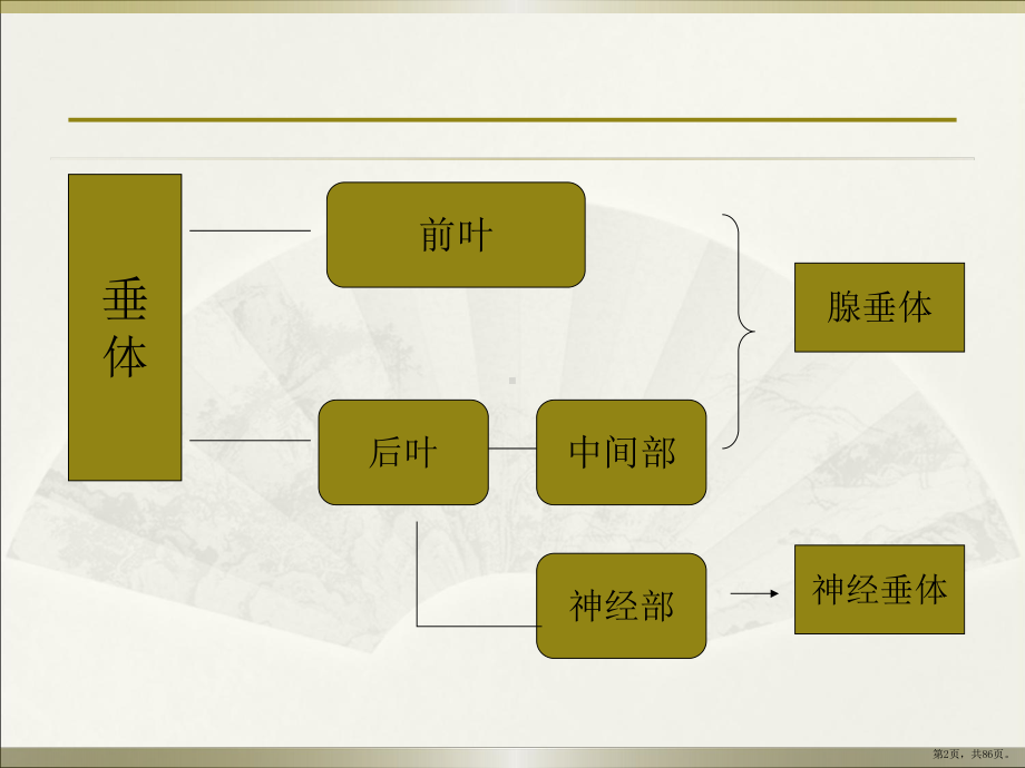 垂体疾病PPT医学课件(PPT 86页).pptx_第2页