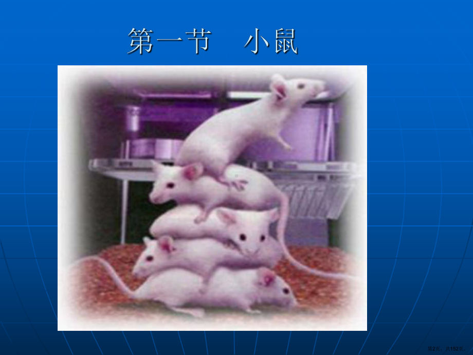 常用实验动物的介绍课件(PPT 152页).pptx_第2页