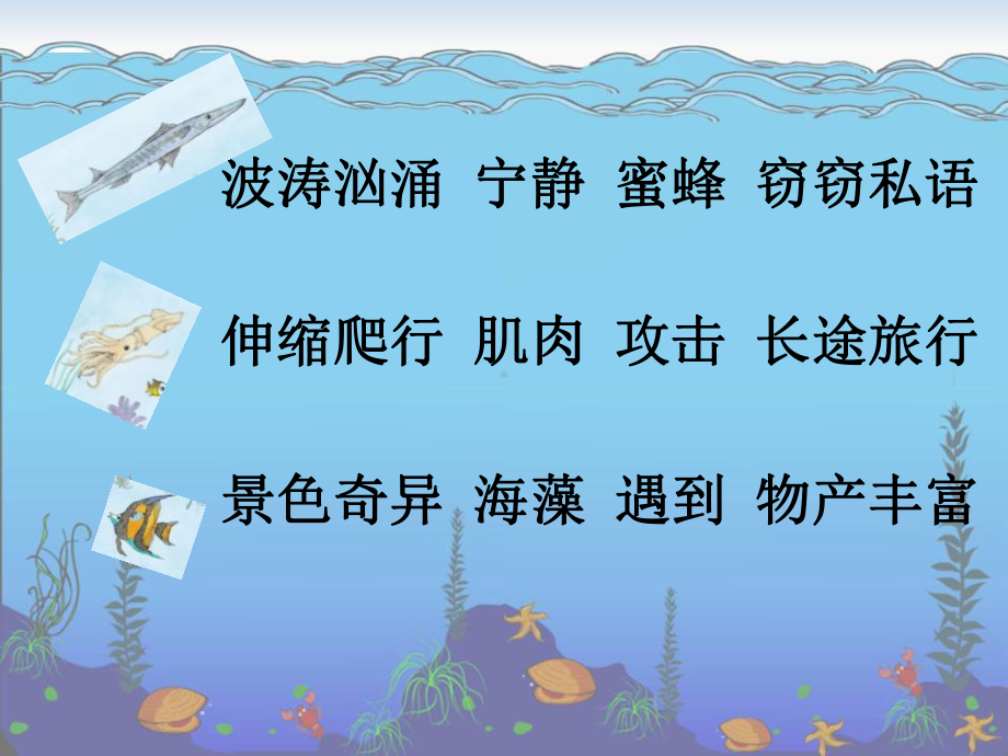 《海底世界》PPT课件4-.ppt_第2页