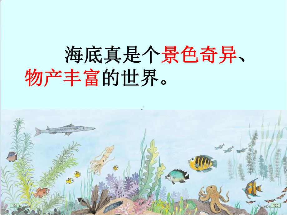 《海底世界》PPT课件4-.ppt_第3页