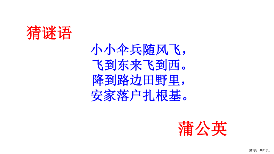 三年级语文上册《16.金色的草地》统编版课件（共21页）(PPT 21页).pptx_第1页