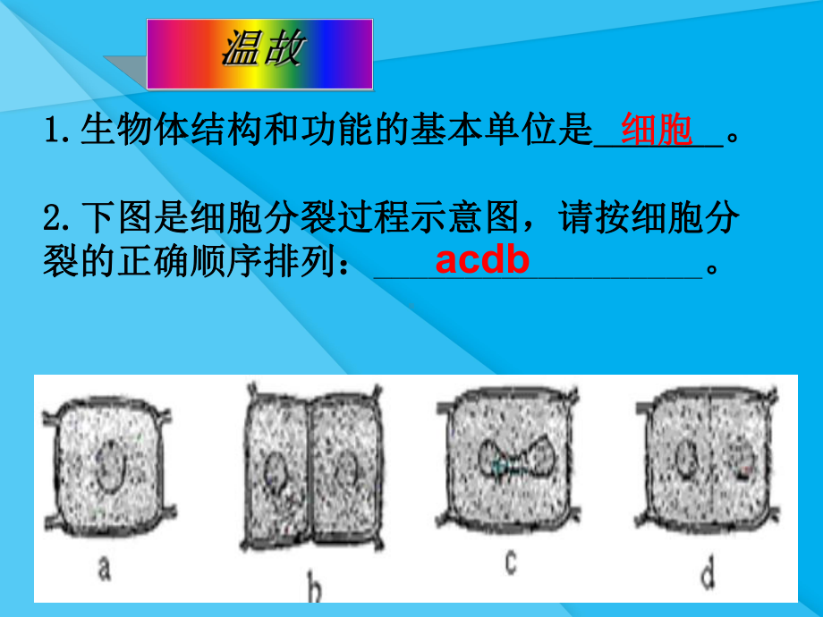 动物体的结构层次PPT课件25-人教版优秀课件.ppt_第1页