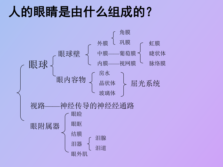 （课件）眼科基础知识.ppt_第3页