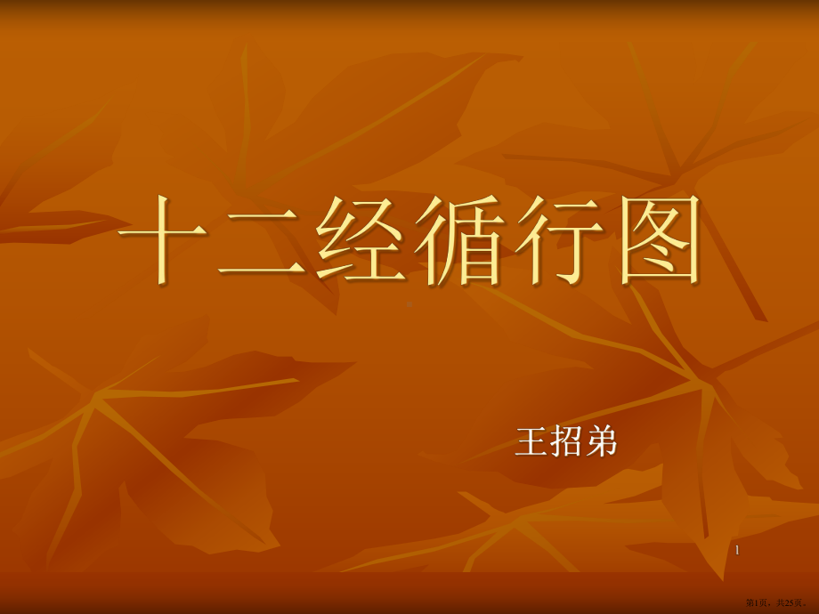 十二经脉循行示意PPT演示课件(PPT 25页).pptx_第1页