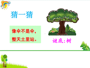 《树之歌》PPT精品课件16.ppt