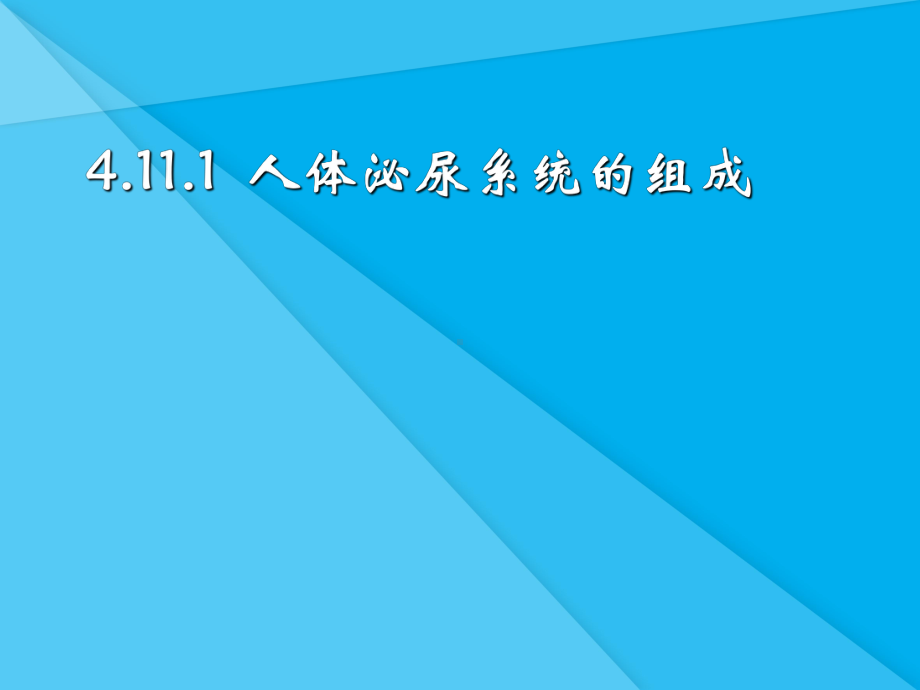 人体泌尿系统的组成ppt1-苏教版优秀课件.ppt_第1页