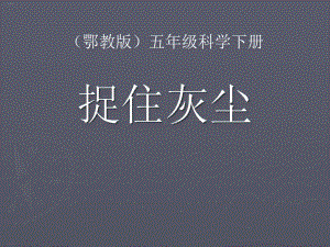 《捉住灰尘》PPT课件-完美版.pptx