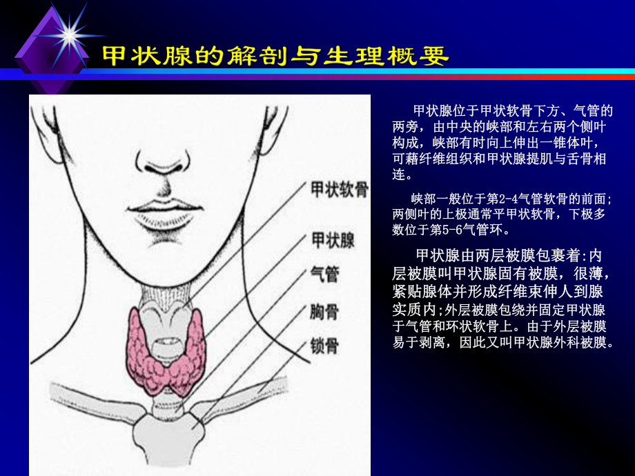 《甲状腺癌的护理》PPT课件(PPT 38页).pptx_第3页