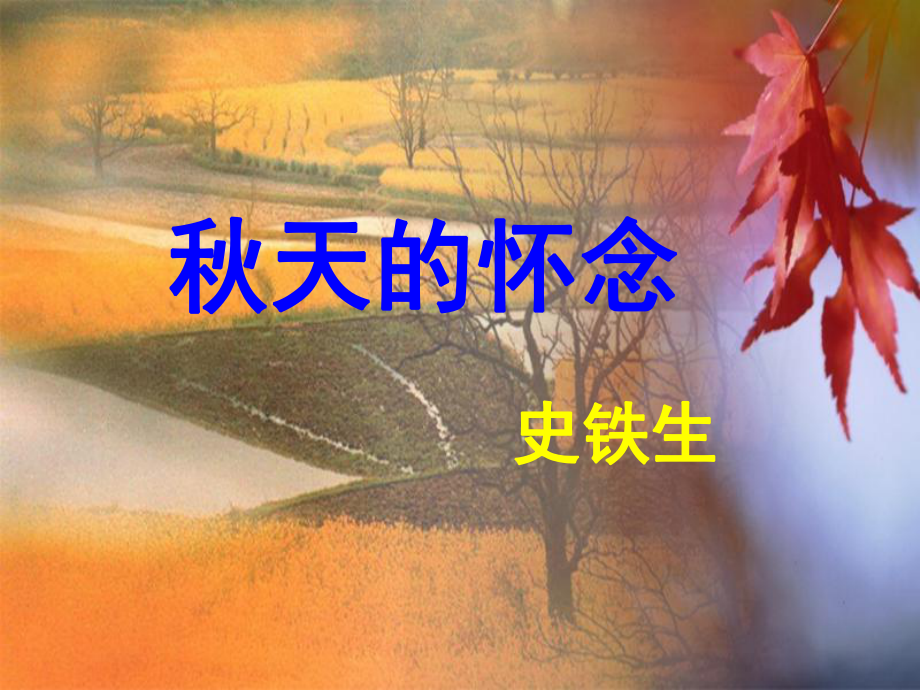 《秋天的怀念》教学课件(问题探究).ppt_第1页