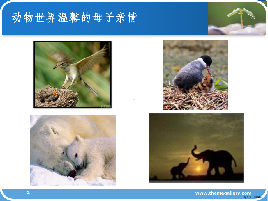 依恋的发展PPT演示课件(PPT 76页).ppt_第2页