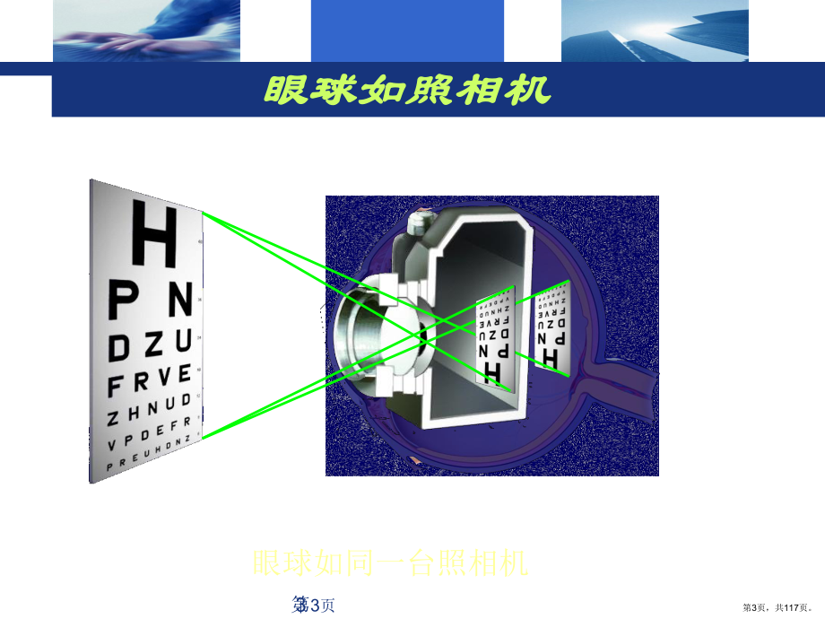 史上最详尽的眼科基础知识培训0财富值课件(PPT 117页).pptx_第3页