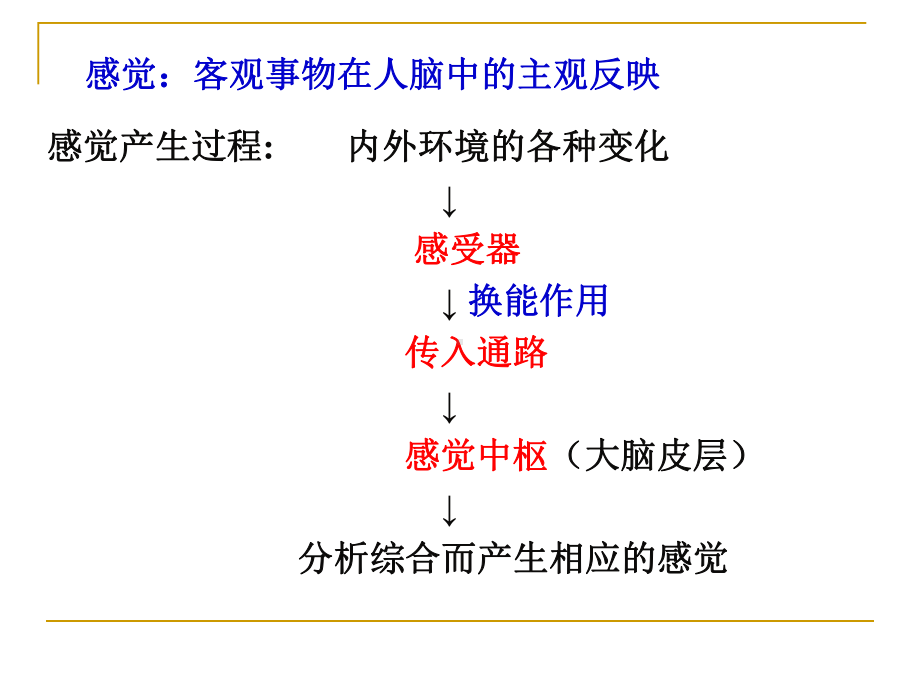 生理课件：感觉器官的功能.ppt_第2页