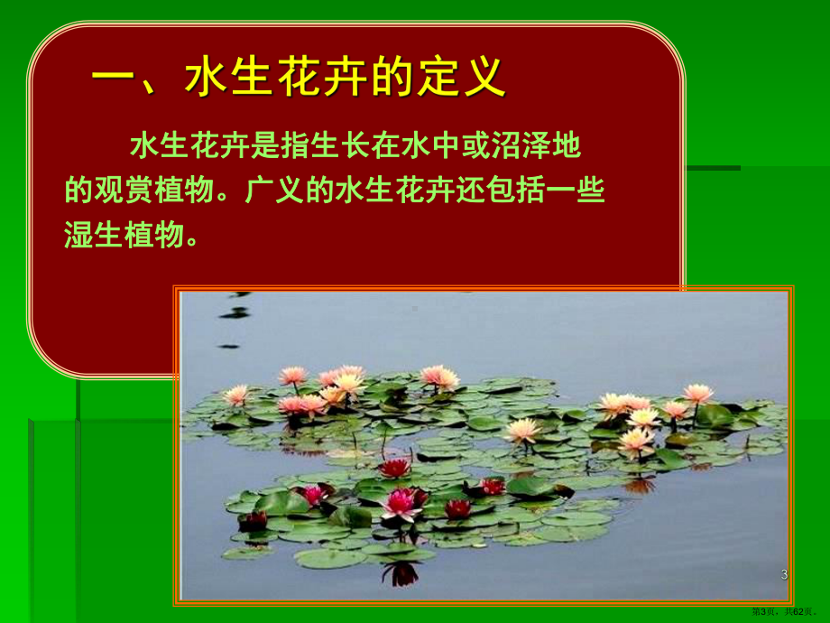 水生花卉PPT演示课件(PPT 62页).pptx_第3页