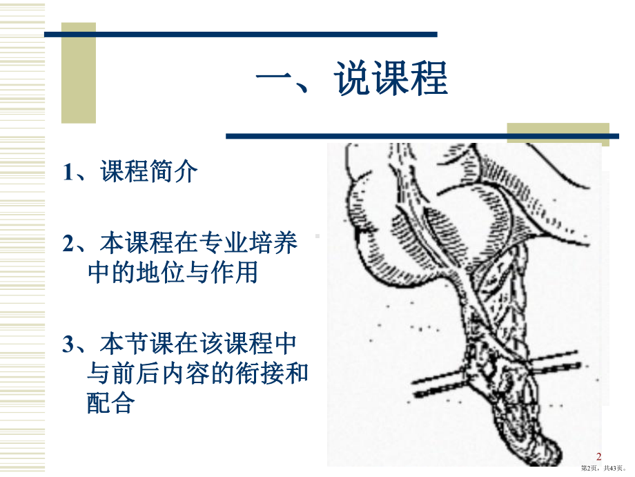 急性阑尾炎说课ppt课件(PPT 43页).pptx_第2页