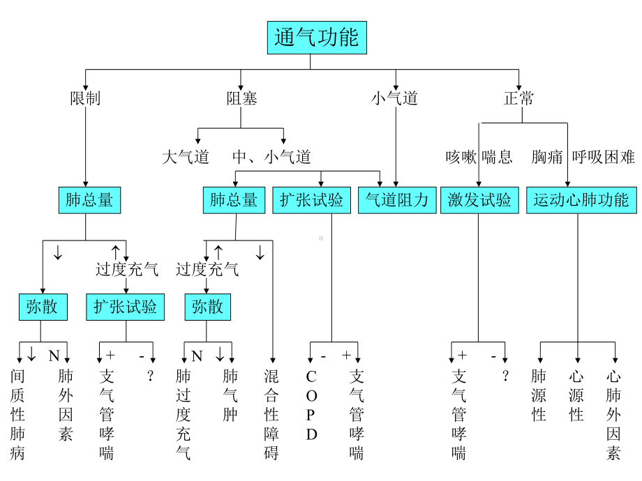 《肺通气功能检查》PPT课件.ppt_第2页