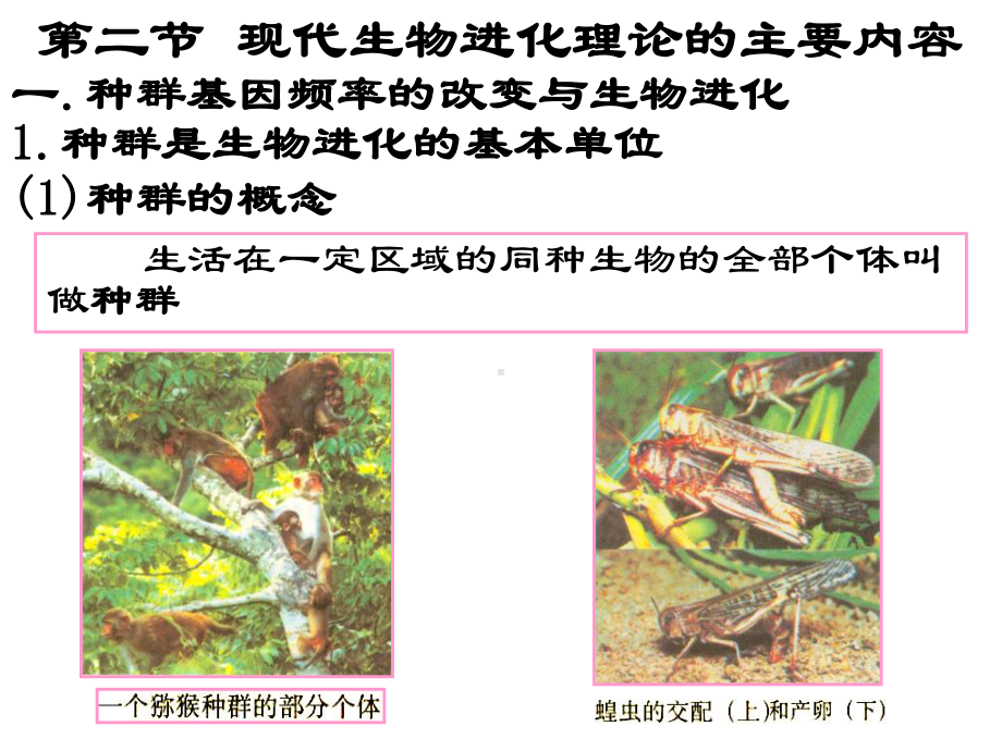 人教版教学课件必修2现代生物进化理论的主要内容课件下学期.ppt_第2页