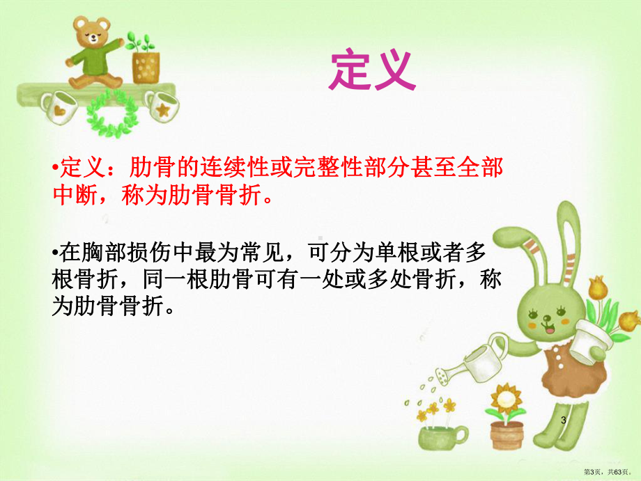 多发肋骨骨折护理PPT医学课件(PPT 63页).pptx_第3页