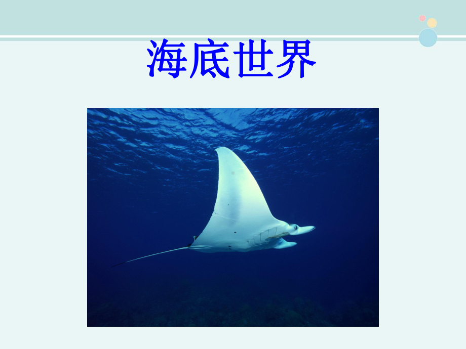 公开课-《海底世界》2-完整PPT课件.ppt_第2页