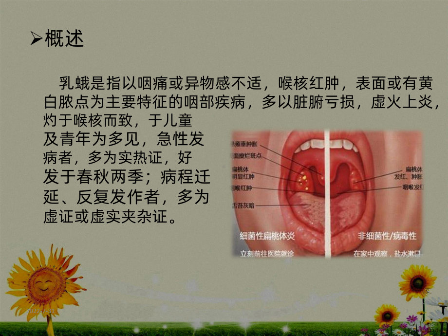 慢乳蛾PPT课件(PPT 23页).pptx_第3页