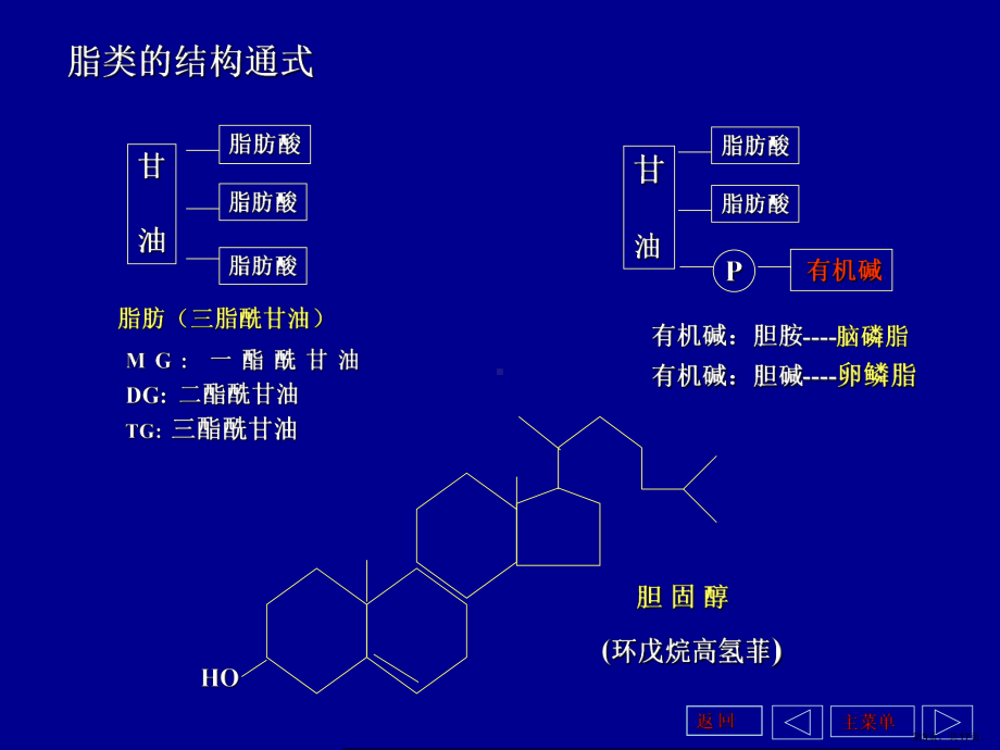 《生物化学脂化学》PPT课件(PPT 17页).pptx_第3页