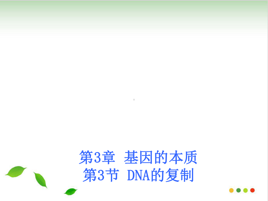 人教版《DNA的复制》课件.ppt_第1页