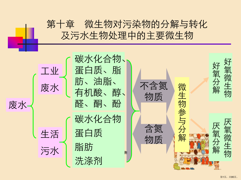 污水处理方法中微生物课件(PPT 95页).pptx_第1页