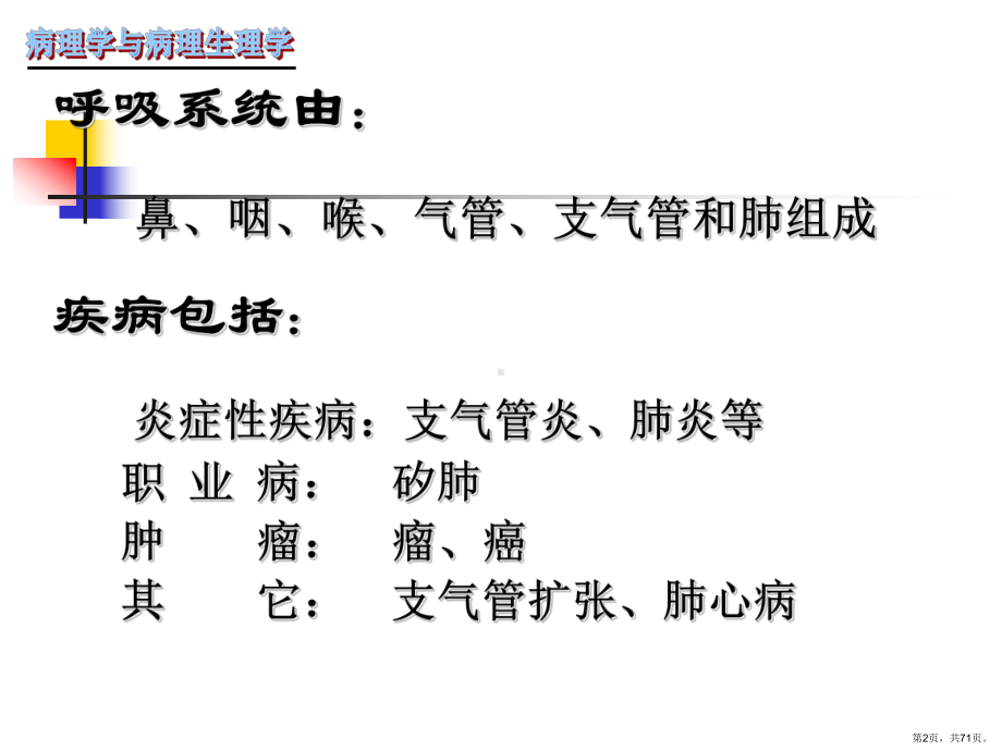 呼吸系统疾病慢性支气管炎肺炎课件(PPT 71页).pptx_第2页