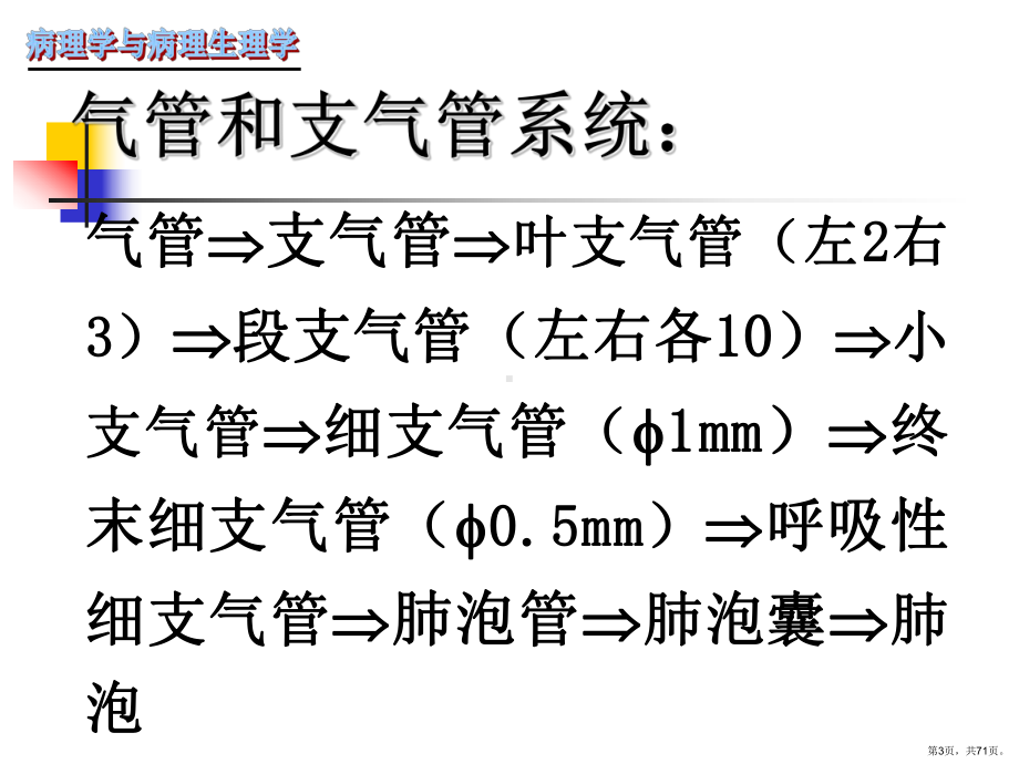 呼吸系统疾病慢性支气管炎肺炎课件(PPT 71页).pptx_第3页