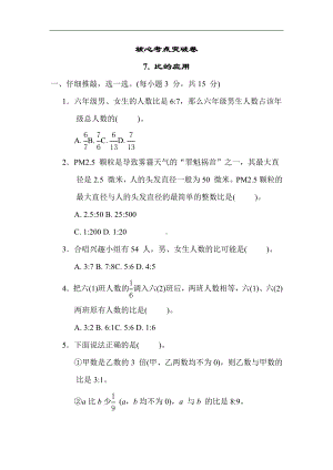 人教版数学六年级上册 核心专项7. 比的应用.docx