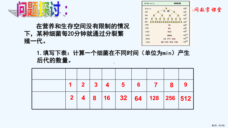 二种群数量的变动课件(PPT 23页).pptx_第3页