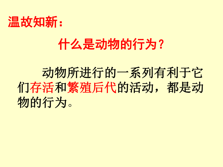 先天性行为和学习行为课件1.pptx_第2页