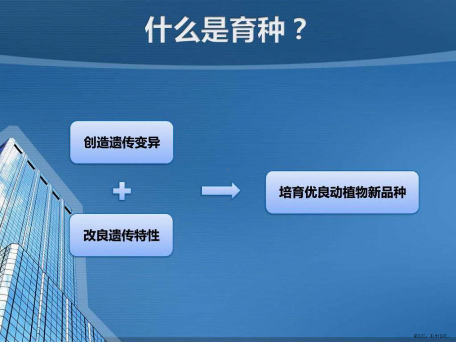 国内外生物育种行业发展现状与产业分析课件(PPT 113页).pptx_第3页