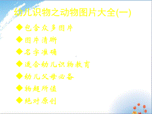 动物图片大全优秀课件PPT.ppt