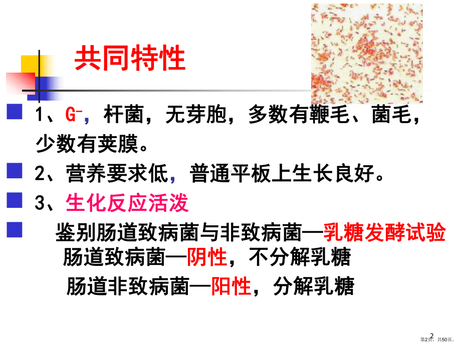 最新-肠道杆菌医学-PPT精品课件(PPT 50页).pptx_第2页